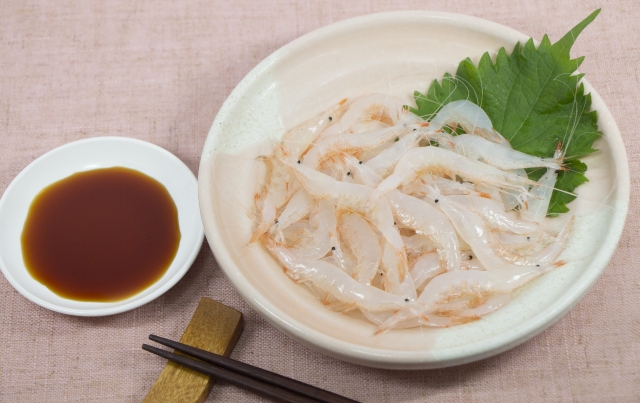 The jewel of Toyama Bay – White Shrimp